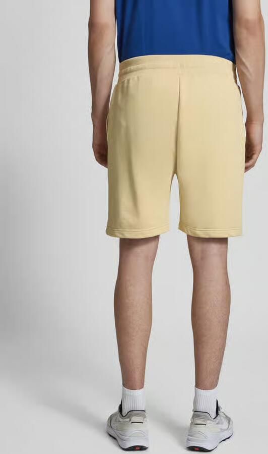 The North Face Regular fit sweatshorts met opgestikte zakken model 'TERRY'