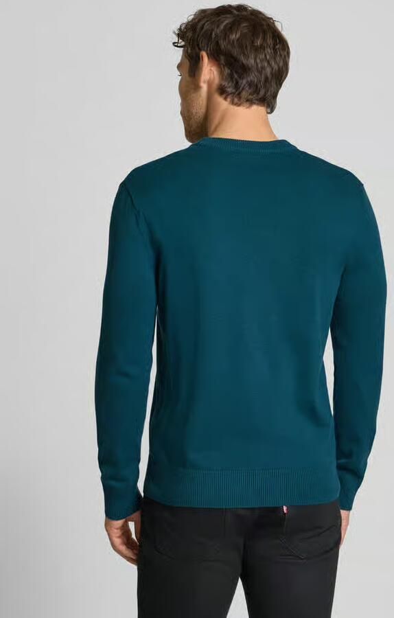 Tom Tailor Denim Regular fit pullover van puur katoen