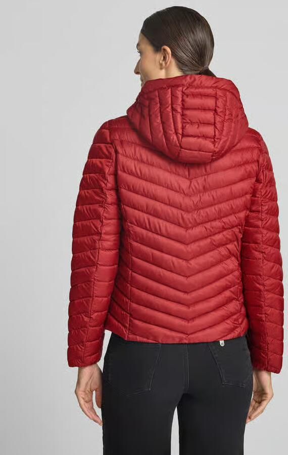 Tom Tailor Regular fit gewatteerd jack met capuchonkraag