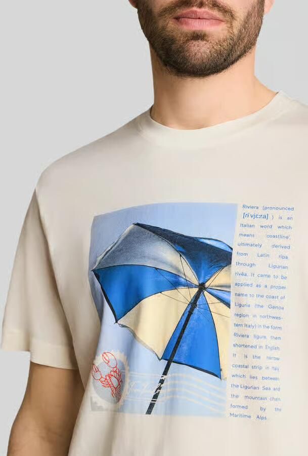 Tom Tailor regular fit T-shirt van puur katoen