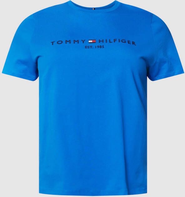 Tommy Hilfiger Curve T-shirt CRV REGULAR HILFIGER C-NK TEE SS (1-delig)