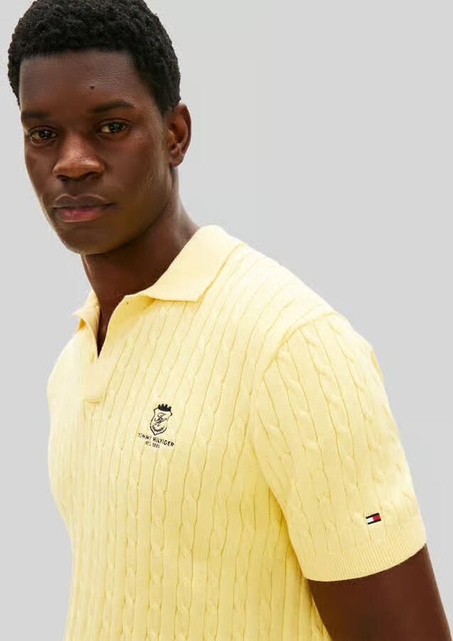 Tommy Hilfiger poloshirt met logodetail