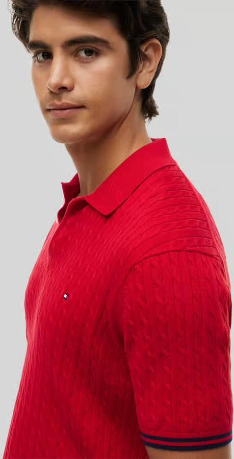 Tommy Hilfiger regular fit poloshirt van puur katoen