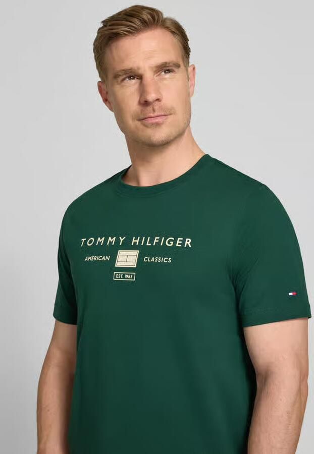 Tommy Hilfiger regular fit T-shirt van puur katoen