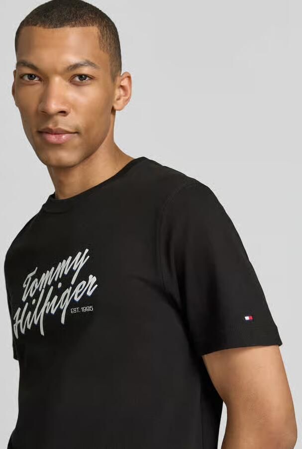 Tommy Hilfiger regular fit T-shirt van puur katoen