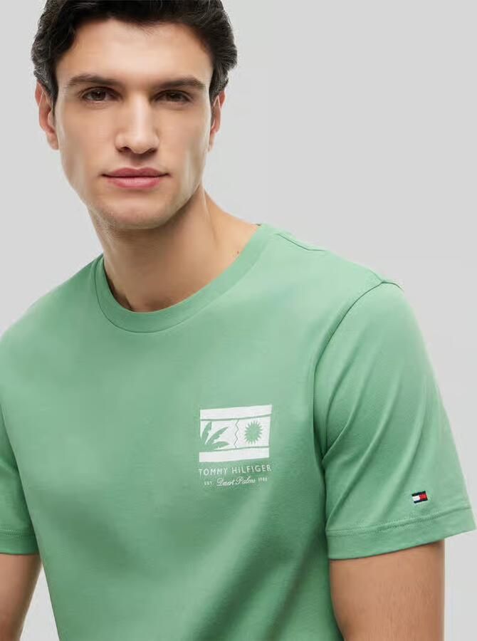 Tommy Hilfiger regular fit T-shirt van puur katoen