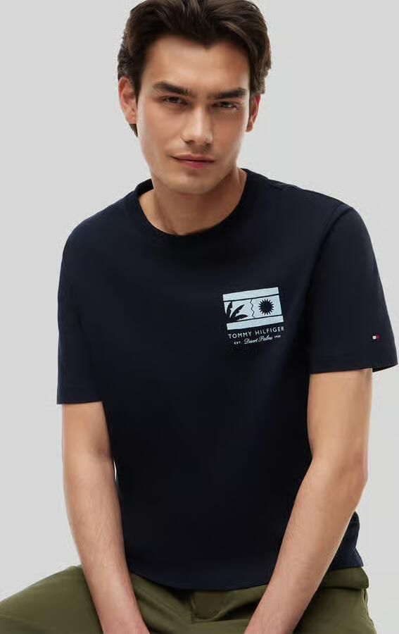 Tommy Hilfiger regular fit T-shirt van puur katoen