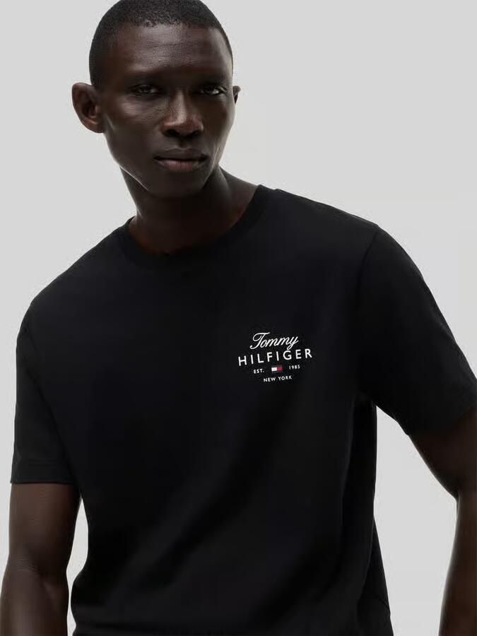 Tommy Hilfiger regular fit T-shirt van puur katoen