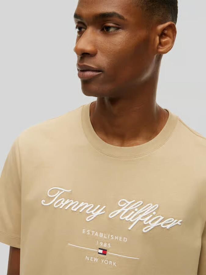 Tommy Hilfiger regular fit T-shirt van puur katoen