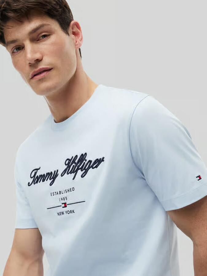 Tommy Hilfiger regular fit T-shirt van puur katoen