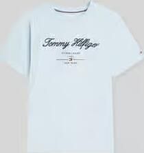 Tommy Hilfiger regular fit T-shirt van puur katoen