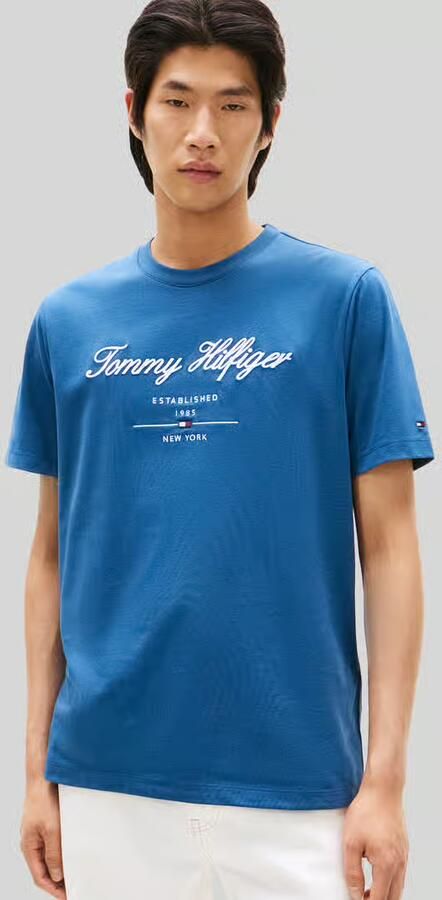 Tommy Hilfiger T-shirt SCRIPT LOGO TEE met opgestikt logo - Foto 6