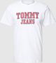 Tommy Jeans TJM Essential TJ TEE Dm0Dm16405Bds Wit Heren - Thumbnail 3