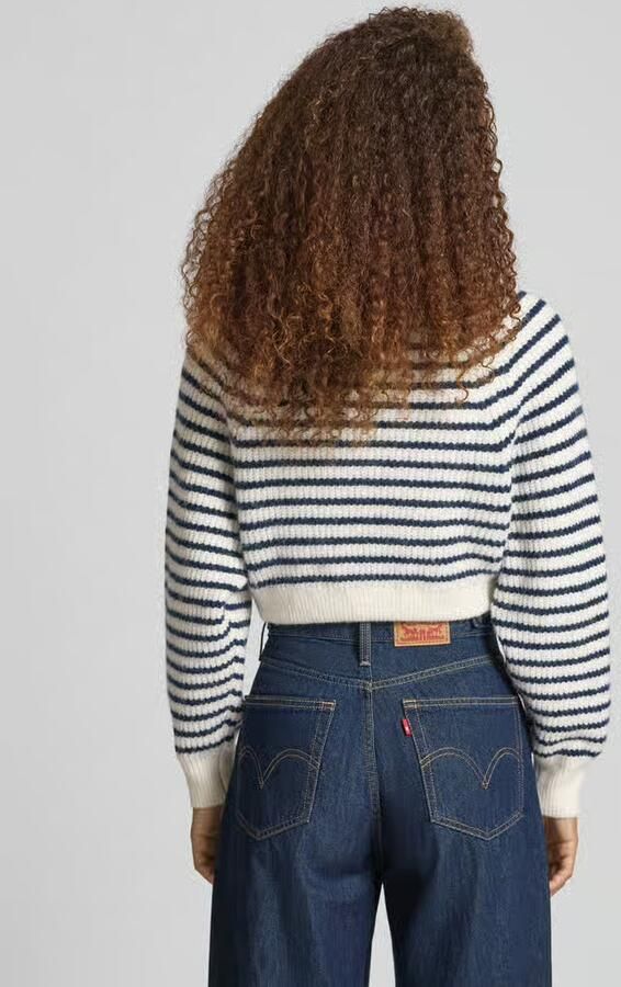 Tommy Hilfiger Trui TJW CROP BADGE SWEAT DW0DW21677