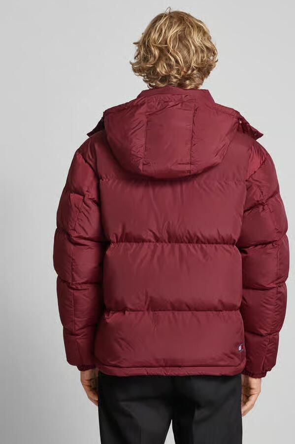 Tommy Jeans Gewatteerd jack met capuchon model 'ALASKA' - Foto 5