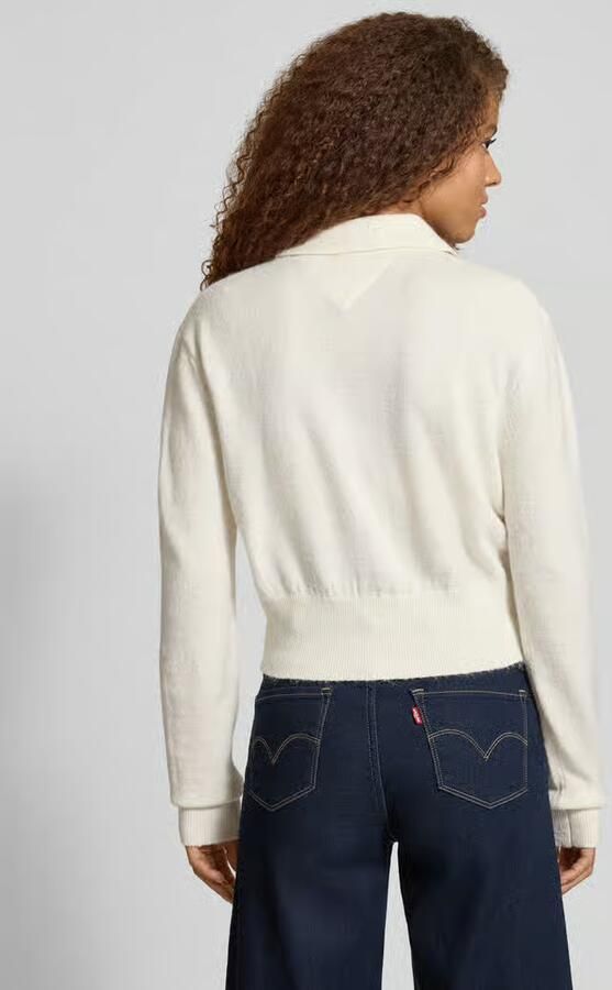 Tommy Jeans Kort knitwear-poloshirt met mix van alpaca en wol model 'TJW FLUFFY POLO SWEATER'