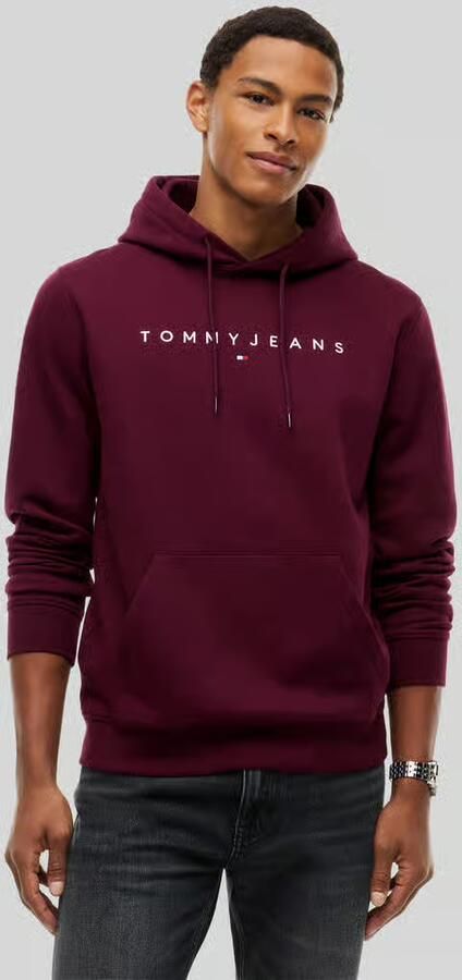 Tommy Hilfiger Capuchon sweaters TJM REG LINEAR LOGO DM0DM20746 - Foto 5
