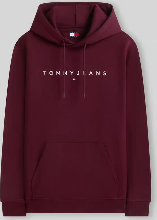 Tommy Hilfiger Capuchon sweaters TJM REG LINEAR LOGO DM0DM20746 - Foto 4