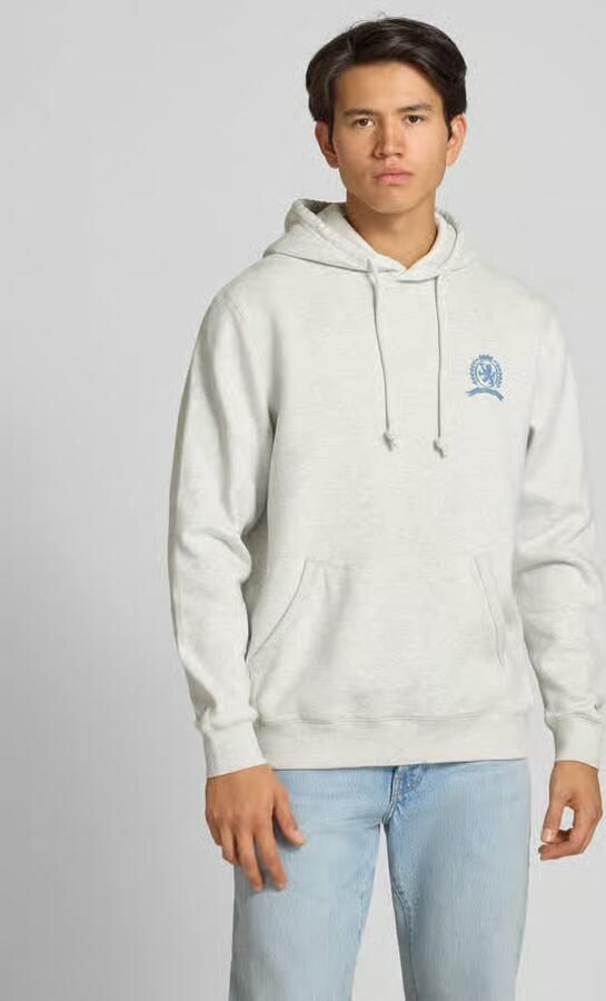 TOMMY JEANS Hoodie TJM WASHED CREST PLAY regular fit sweatshirt rugprint - Foto 7