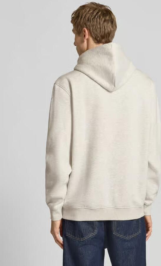 Tommy Hilfiger Capuchon sweaters dm0dm20746grp092xl