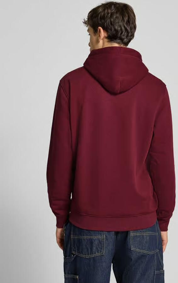 TOMMY JEANS Hoodie TJM REG LINEAR LOGO HOODIE EXT - Foto 6