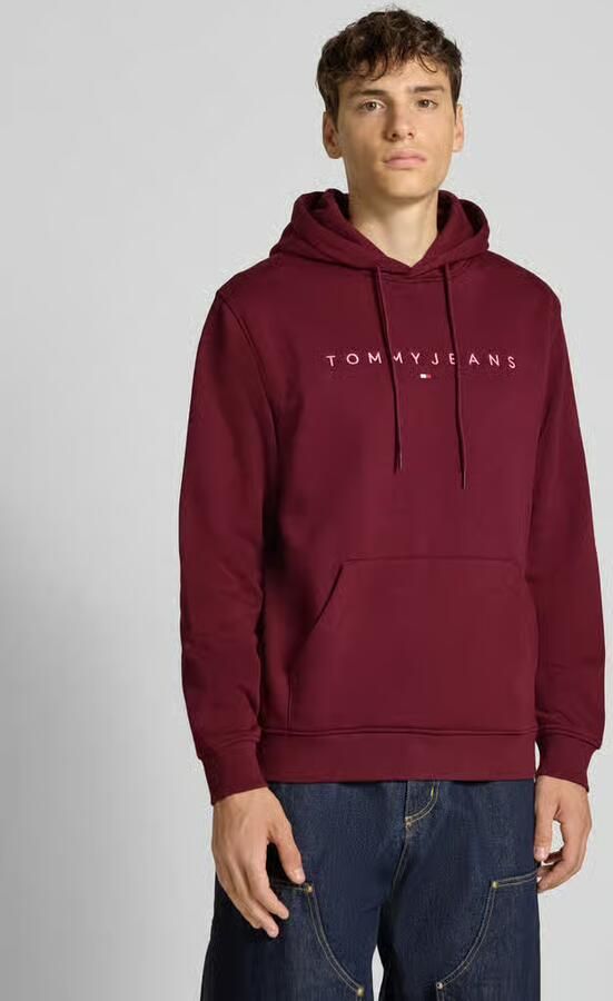 TOMMY JEANS Hoodie TJM REG LINEAR LOGO HOODIE EXT - Foto 7