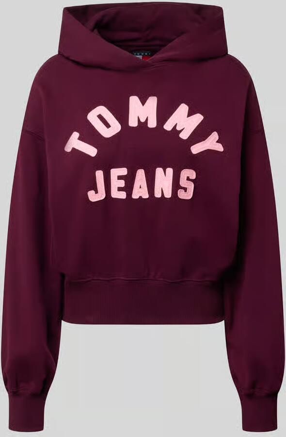 Tommy Jeans Capuchon sweaters Tjw Ovs Sh Tommy Arc
