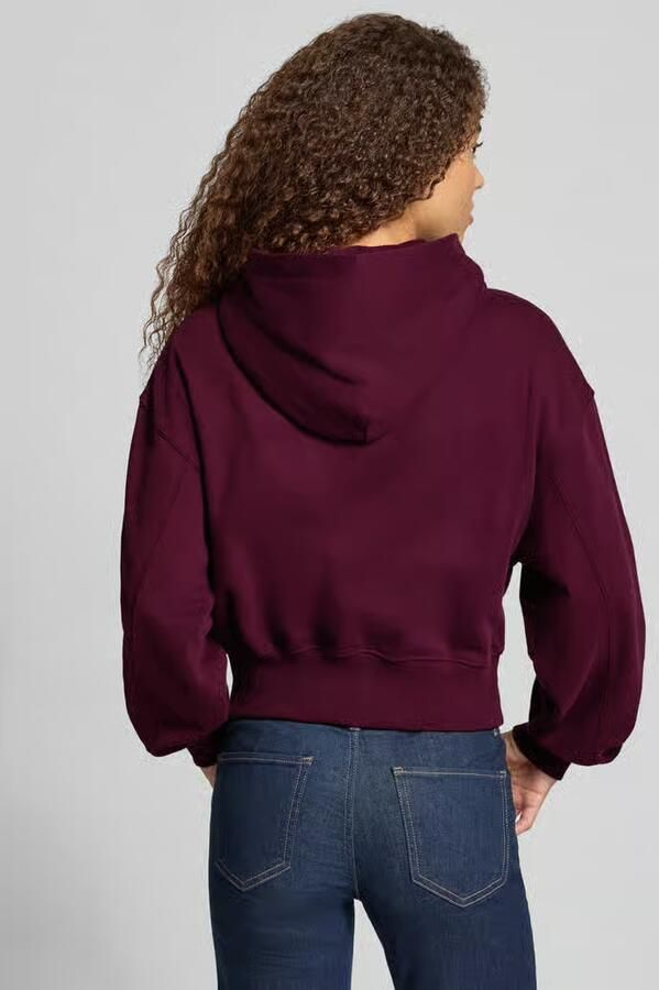 Tommy Jeans Capuchon sweaters Tjw Ovs Sh Tommy Arc - Foto 3