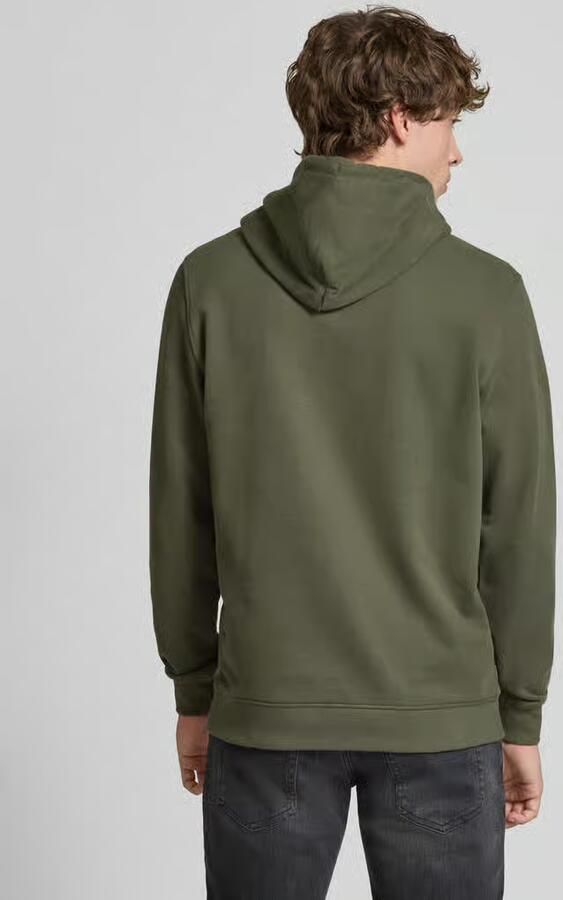 TOMMY JEANS Hoodie TJM DNA Sweatshirt Reuglar Fit met logo - Foto 6