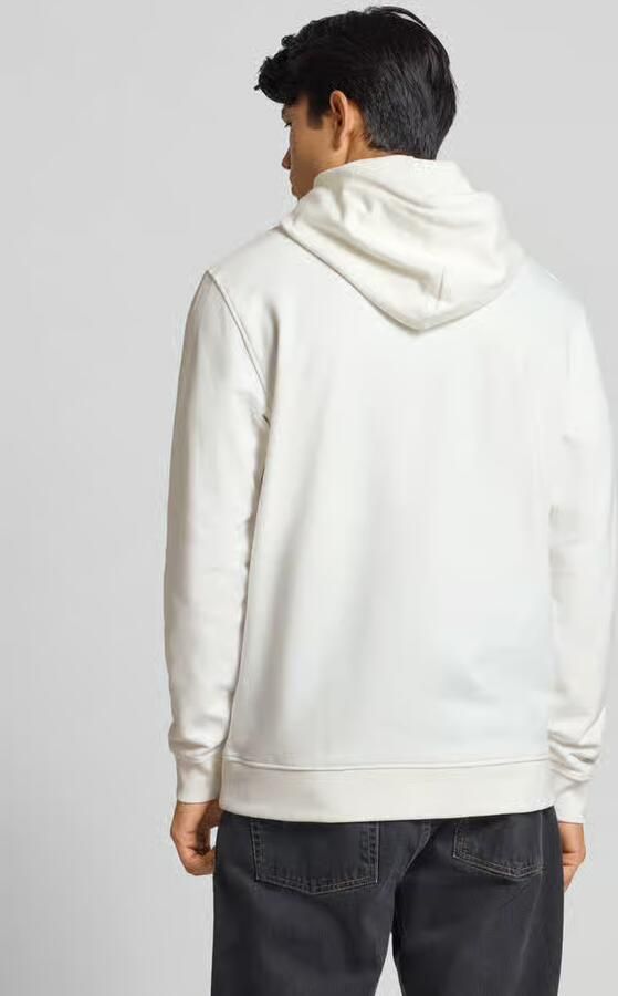 Tommy Jeans Capuchon sweaters Tjm Reg Dna Hoodie Ext