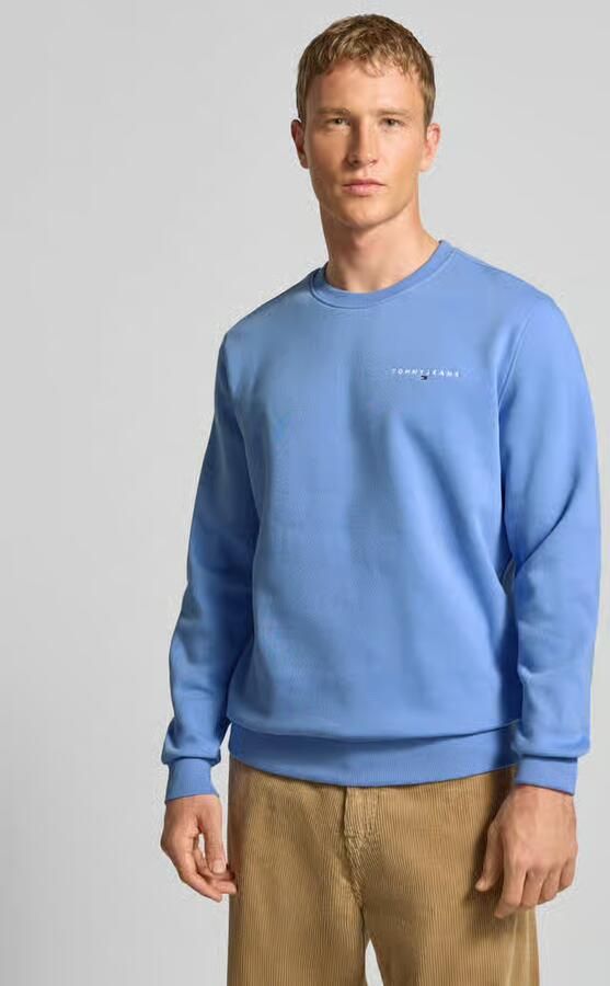 TOMMY JEANS Heren Truien & Vesten Tjm Reg Linear Crew Ext Blauw - Foto 8