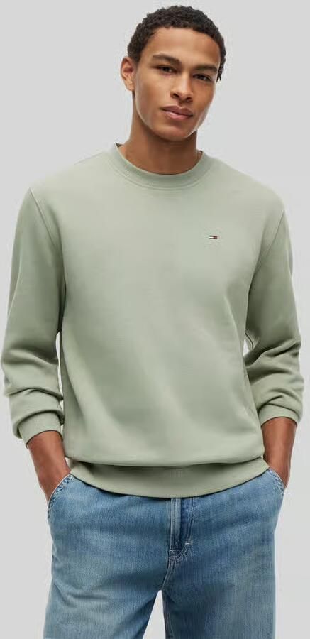 TOMMY JEANS Heren Truien & Vesten Tjm Reg S Flag Crew Ext Groen - Foto 8