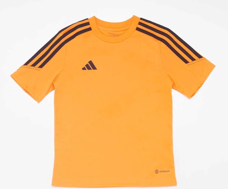 Adidas tiro 23 voetbalshirt oranje zwart kinderen