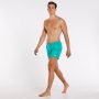 Fila satar boardshort zwembroek groen heren - Thumbnail 2