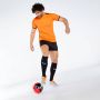 Puma teamliga voetbalshirt oranje heren - Thumbnail 2