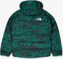 The North Face Stijlvolle Jassen voor Buitensport Avonturen Multicolor Heren - Thumbnail 2