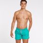 Fila satar boardshort zwembroek groen heren - Thumbnail 1