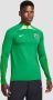 Nike nigeria dri-fit strike drill trainingstop groen heren - Thumbnail 1