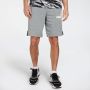 Puma Colorblock Grijs Korte Broek Heren - Thumbnail 1