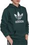 Adidas Originals Hoodie ADICOLOR CLASSICS TREFOIL HOODIE - Thumbnail 3