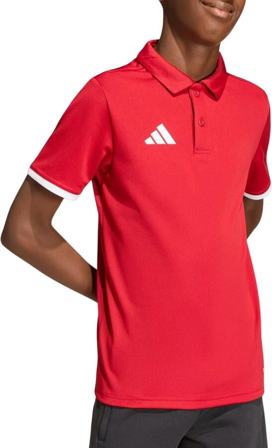Adidas Entrada 26 Polo Junior