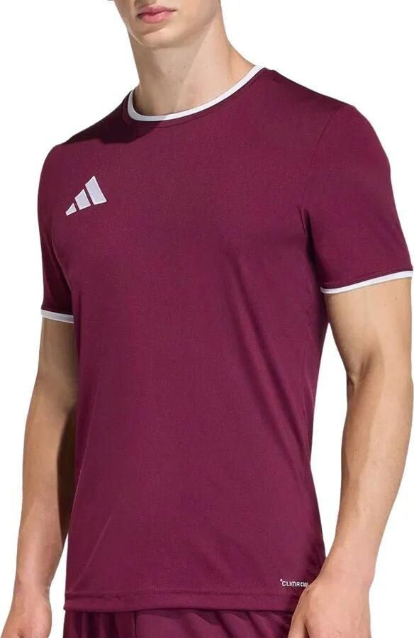 Adidas Entrada26 Voetbalshirt