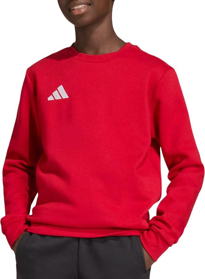 Adidas Entrada 26 Sweater Junior