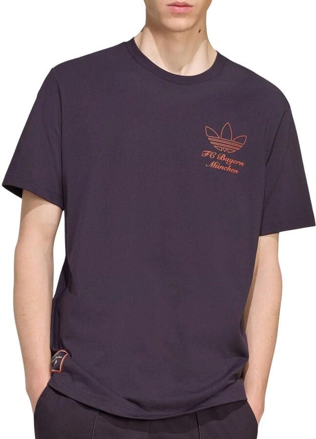 Adidas FC Bayern München Terrace Icons Graphic T-shirt Heren - Foto 7