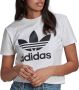Adidas Originals Adicolor Classics Trefoil T-shirt - Thumbnail 3