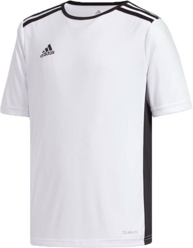 Adidas entrada 18 voetbalshirt wit kinderen