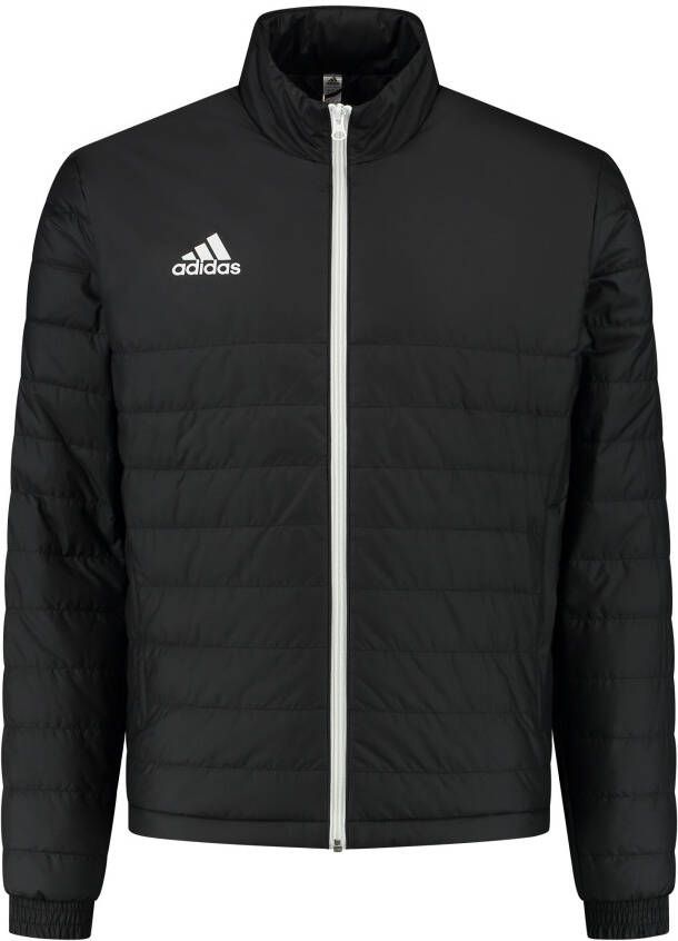 Adidas Entrada 22 Jas Heren