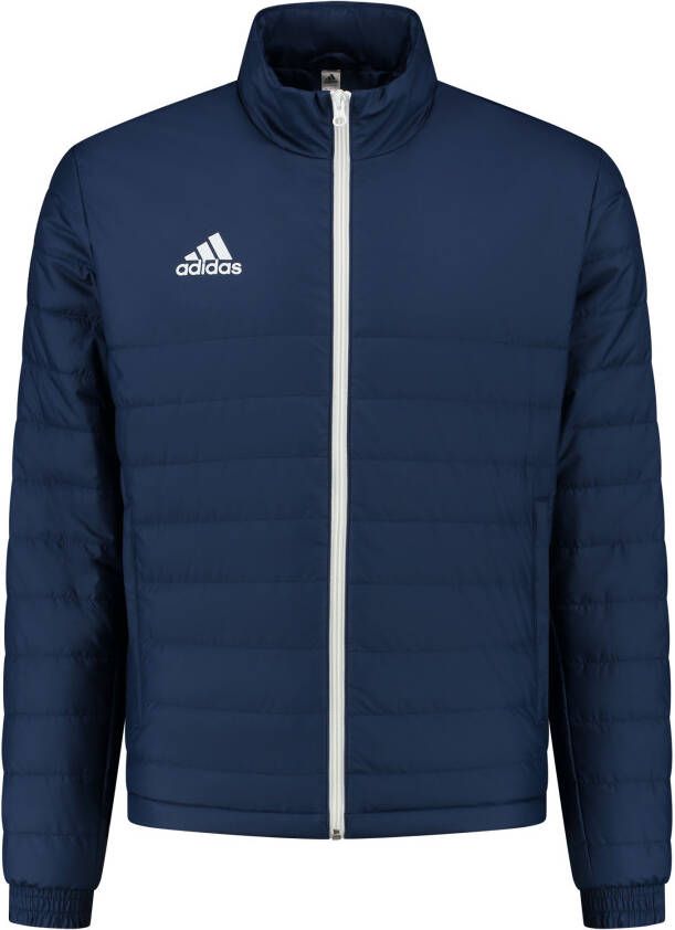 Adidas Entrada 22 Jas Heren