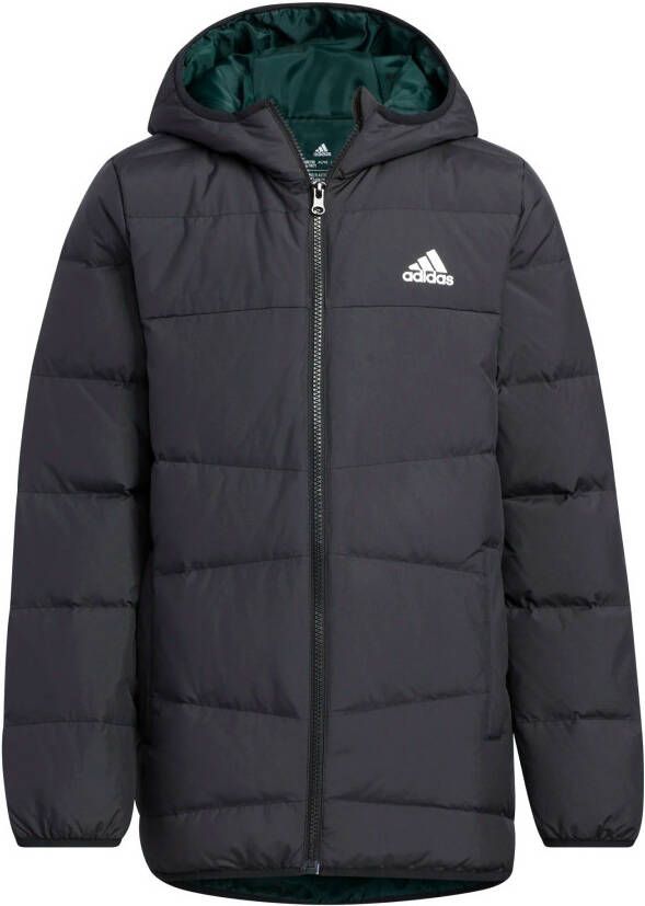 Adidas Sportswear Frosty Winterjack