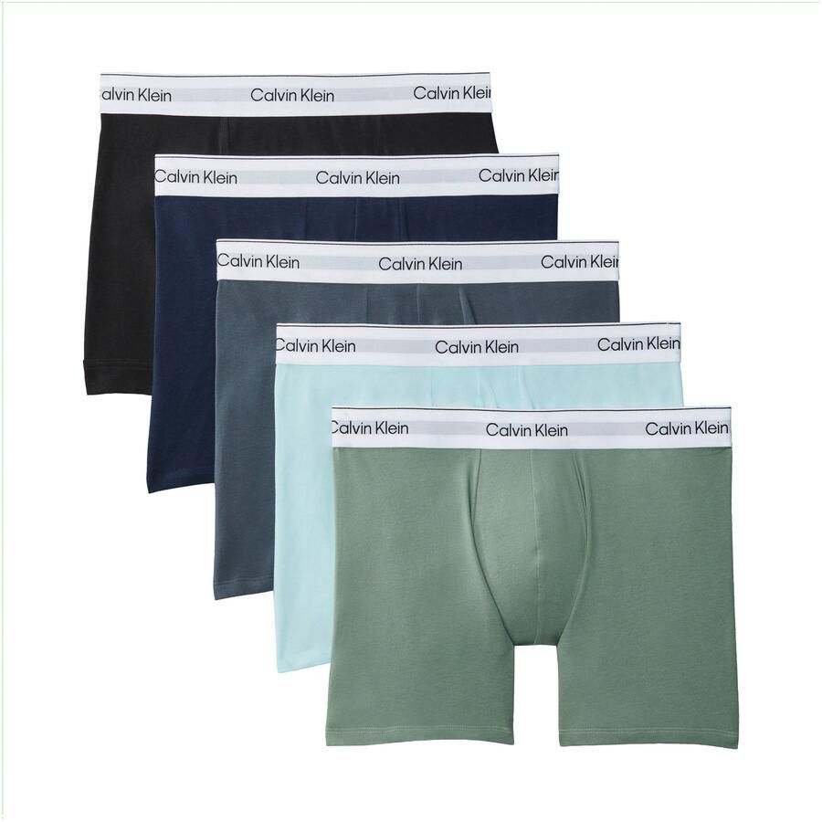Calvin Klein Icon Cotton Stretch Brief Boxershorts Heren (5-pack)